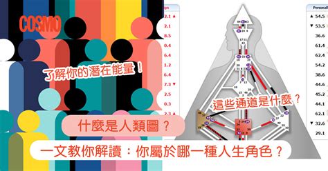 人類圖免費分析|人類圖是什麼？一文教你分析＋解讀4大類型及12種人。